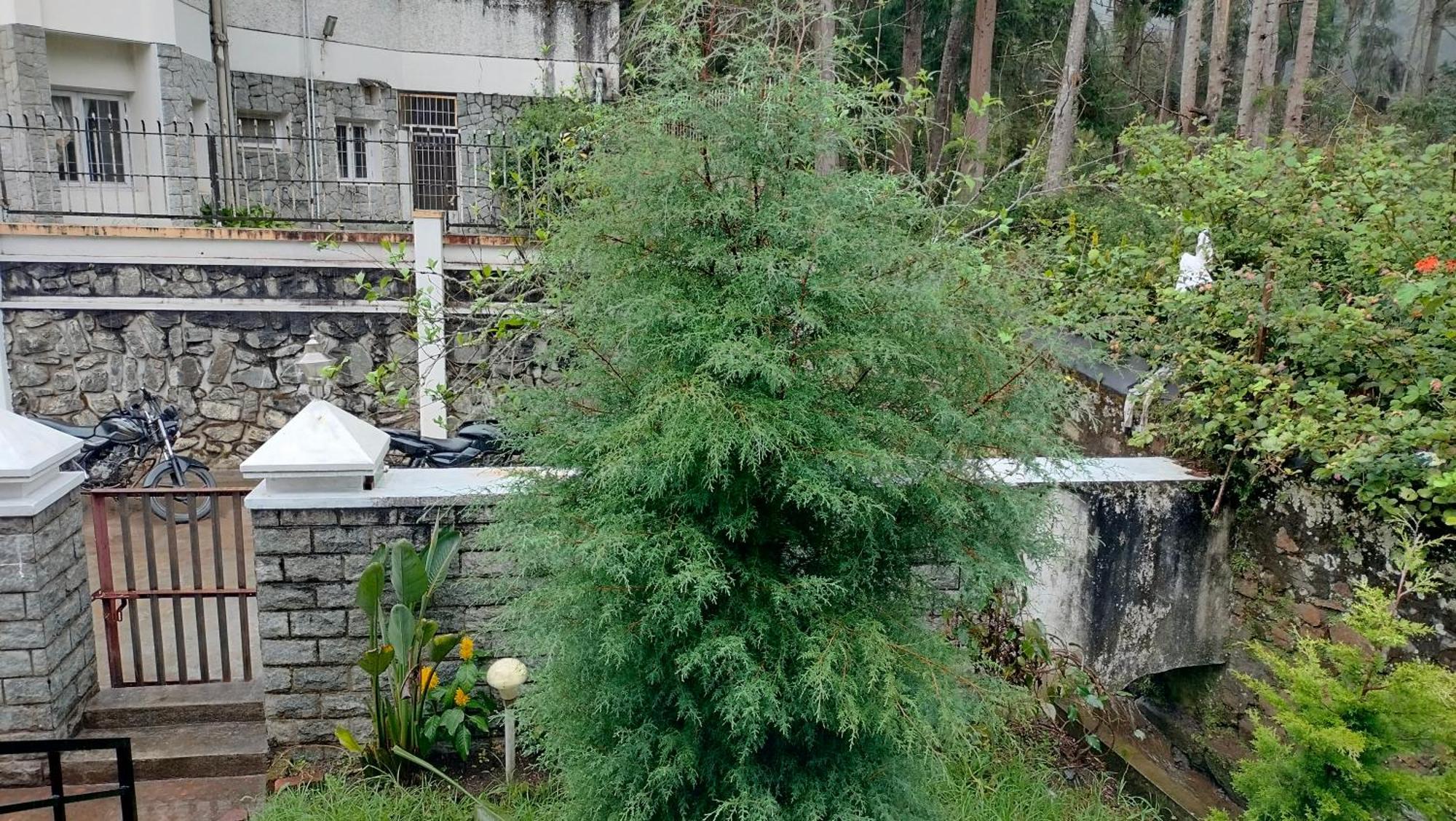 Kodai King Suite Kodaikanal Dış mekan fotoğraf