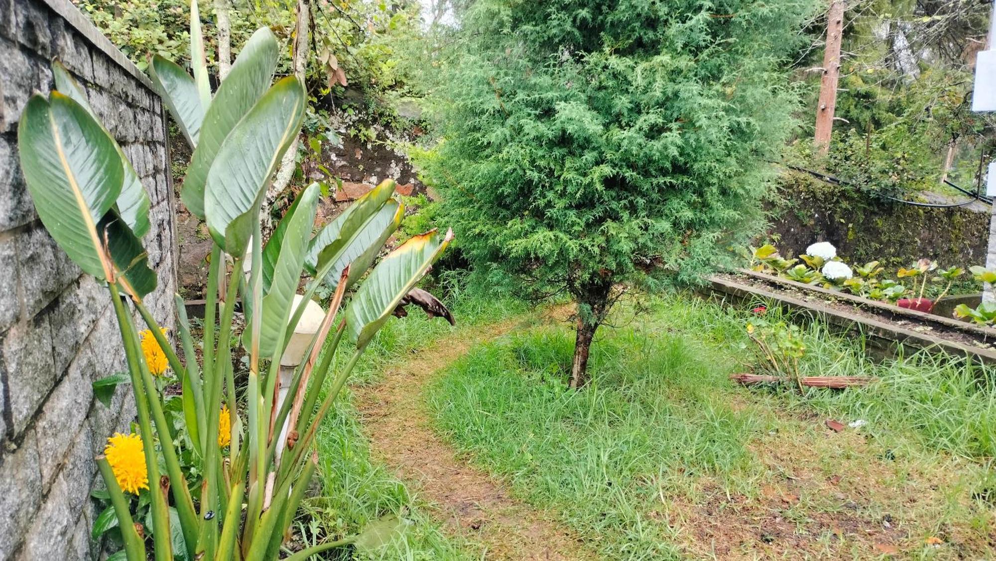 Kodai King Suite Kodaikanal Dış mekan fotoğraf